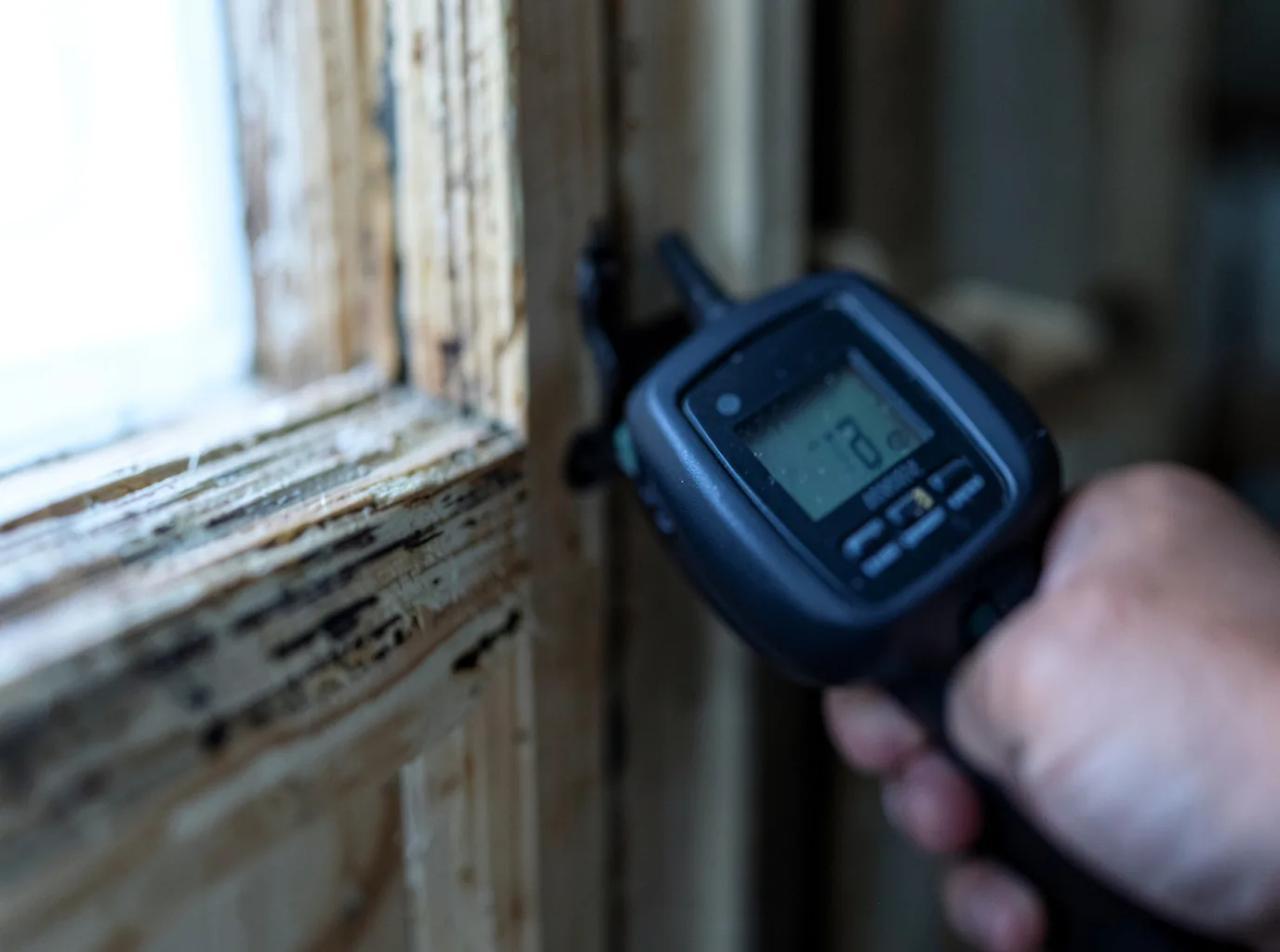 Moisture Inspection And Documentation in Republic, WA